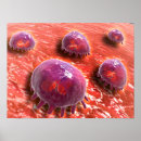 Search for pathogen posters Cytology