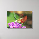 Search for moth canvas prints Flowers