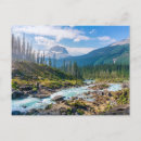 Search for yoho postcards Canada