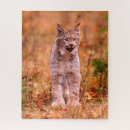 Search for hunting puzzles Forest