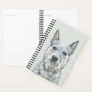 Search for australian planners Australian cattle dog