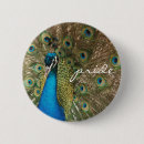 Search for peacock badges Photography