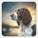 Search for springer spaniel stickers Canine