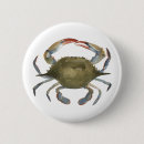 Search for crab badges Coastal