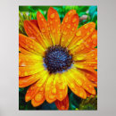 Search for large flower posters Gardening