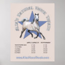 Search for arabians posters Horse