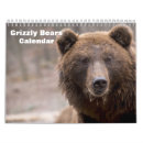 Search for bears calendars 2027