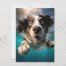 Search for underwater cards Animal lover