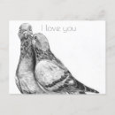 Search for handdrawn postcards Cute
