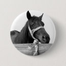 Search for horse badges Brown