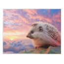 Search for hedgehog notepads Animal