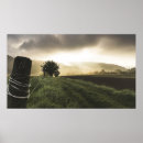 Search for fence post art Field