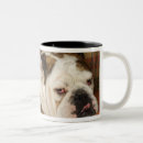 Search for lying coffee mugs Sofa