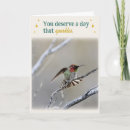 Search for hummingbird birthday cards Photography
