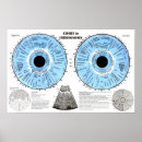 Search for eye chart posters Optometry