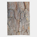 Search for tree bark Fall