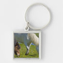 Search for icelandic horses key rings Animal