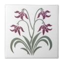 Search for fuchsia tiles Flower