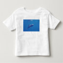 Search for bottlenosed dolphin tshirts Bradley ireland