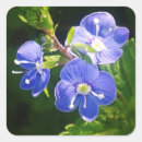 Search for blue cat stickers Nature