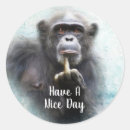 Search for nice day Humour