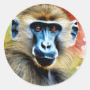 Search for baboon gift wrap Primate