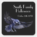 Search for white raven stickers Black and white