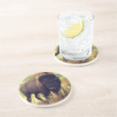 Search for buffaloes coasters Nature