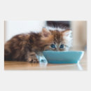 Search for animal images stickers Photography