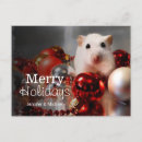 Search for hamster christmas cards Looking at camera