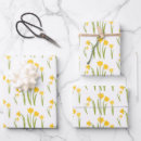Search for daffodil wrapping paper Floral