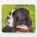 Search for boxer dogs mouse mats Puppies