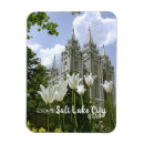 Search for lds magnets Utah