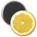 Search for fruits magnets lemon