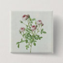 Search for redoute badges Flowers