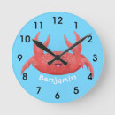 Search for crab clocks Sea life