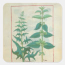 Search for herbal medicine stickers Illuminated