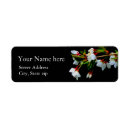 Search for cherry tree return address labels Modern
