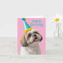 Search for shih tzu birthday cards Canine
