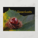 Search for autumn leaf postcards Landscape