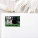 Search for chocolate labrador return address labels Animal