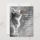 Search for inspirational butterfly quotes cards Positivity