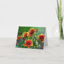 Search for blankets cards Nature