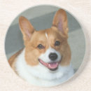 Search for welsh coasters Puppy
