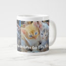 Search for funny kitten mugs Cat quote
