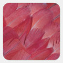 Search for african grey parrot stickers Wildlife