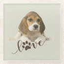 Search for beagle coasters Cute