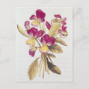Search for vellum postcards Flowers