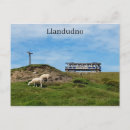 Search for llandudno postcards Great orme