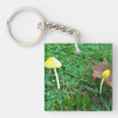 Search for tiny key rings Nature